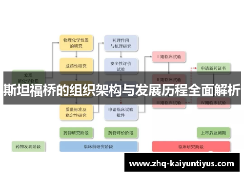 斯坦福桥的组织架构与发展历程全面解析