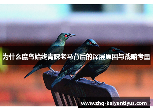 为什么魔鸟始终青睐老马背后的深层原因与战略考量