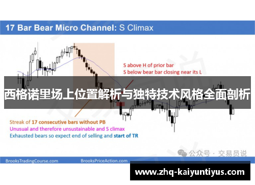 西格诺里场上位置解析与独特技术风格全面剖析