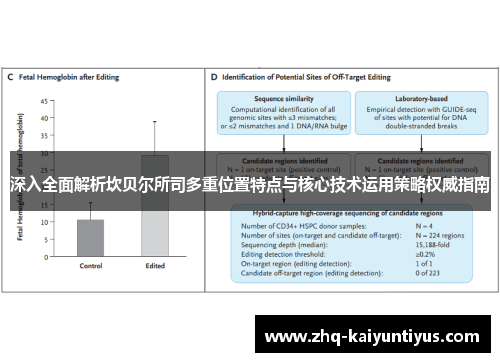 深入全面解析坎贝尔所司多重位置特点与核心技术运用策略权威指南