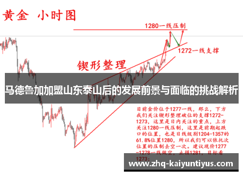 马德鲁加加盟山东泰山后的发展前景与面临的挑战解析